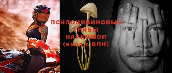 хмурый Абаза