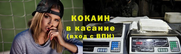 мдпв Елабуга