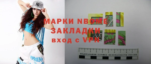 хмурый Абаза