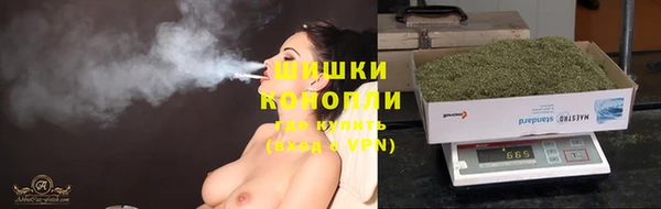 хмурый Абаза