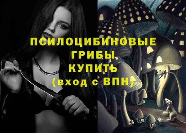 хмурый Абаза