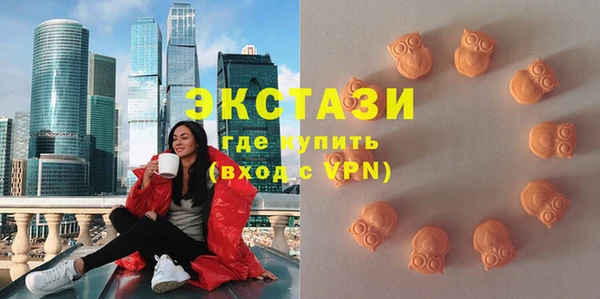 хмурый Абаза