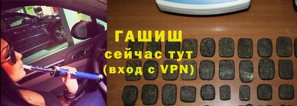 хмурый Абаза