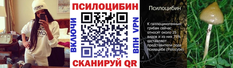 Псилоцибиновые грибы Psilocybe  даркнет сайт  Никольское 